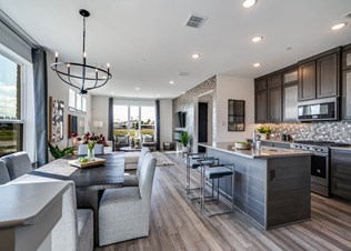 VIKRAM BOREGOWDA, REALTOR® - STERLING NESTS