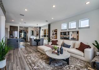 VIKRAM BOREGOWDA, REALTOR® - STERLING NESTS
