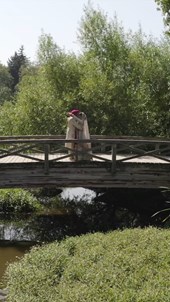 Vivid Dreams Photography