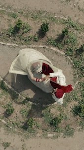 Vivid Dreams Photography