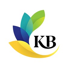 KB Tax Deviser CPAs