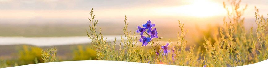 Fortify Health - Dr. Daniel Beilin