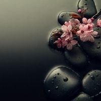 Bansi Beauty Salon