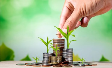 Shaheen Chandrani Loan Originator NMLS #2566191