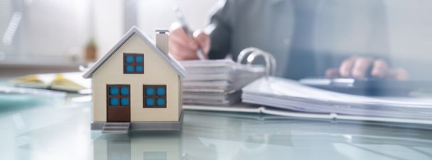 Shaheen Chandrani Loan Originator NMLS #2566191
