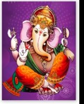 Hindu Telugu Smartha Priest