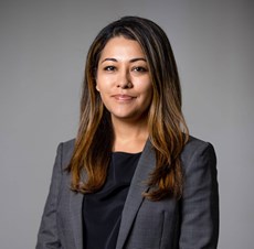Parvin K Aminolroaya Law