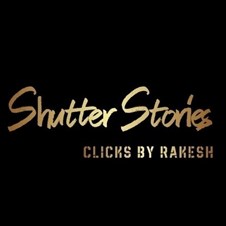Shutter Stories Photography