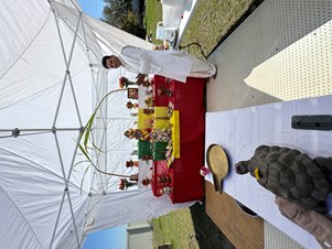 Pandit Bhupendra Shastri Freelance Hindu  Priest