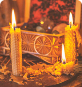 Astrologer Pandit Joshi