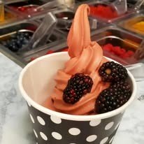 Skinny D's Yogurt