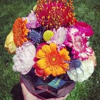 Elisa Brosius Events