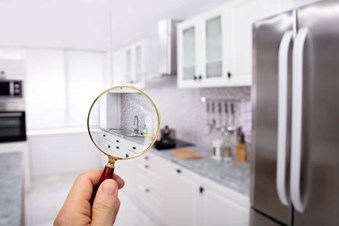 KeenEye Inspections