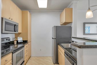 Arfa Zia Realtor