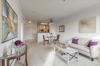 Arfa Zia Realtor