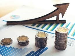 Nithya Vishwanath Financial Advisor