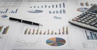 Nithya Vishwanath Financial Advisor