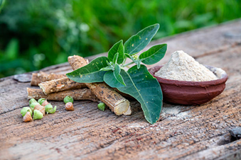 Kaya Ayurveda