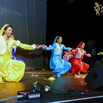 DJ DesiMixx - DJ Services in Tomball, TX in Tomball, Tomball