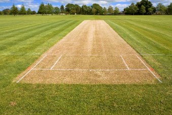 MVP Cricket Academy - Minneapolis