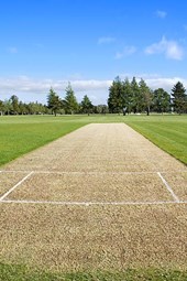 MVP Cricket Academy - Minneapolis