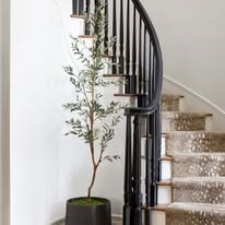 Mita Bhimani Realtor