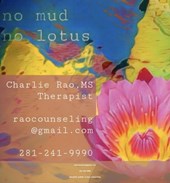 Rao Counseling PLLC Counselling Services Sugar Land, TX
