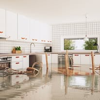 Legacy Home Revivers