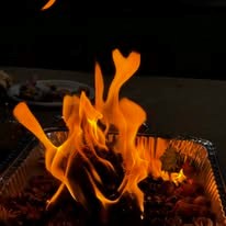 Hindu Priest Services