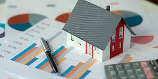 Mahmud Rahman Loan Advisor