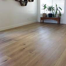  in Valencia, Valencia