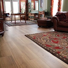  in Valencia, Valencia