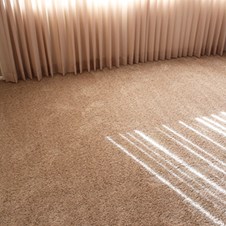  in Valencia, Valencia