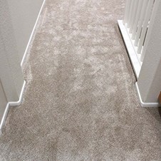  in Valencia, Valencia