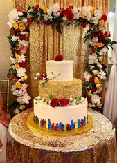 NS Events By Neha LLC Event Planners Riverview, FL