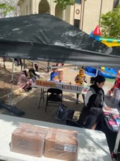 Shine Events And Management