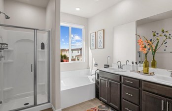 Vijaysundari Mani-Dallas Realtor