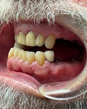Sonia Tailor Dentist