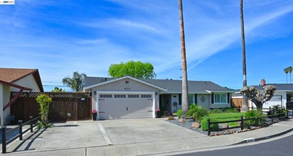 Suresh Nallapati-Realtor & Loan Officer