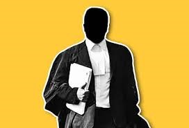 Binjal Parikh INC - Legal Services in Edison, NJ in Edison, Edison