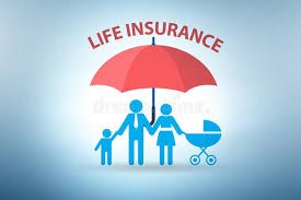 Secure Nest Insurance - Insurance Services in Rego Park, NY in Rego Park, Rego Park