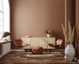 Vansh Decor
