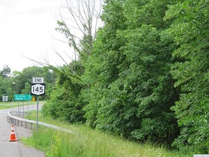 Lands/Lots for sale in Cairo,NY