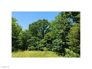 Lands/Lots for sale in Norwalk,IA