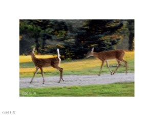 Lands/Lots for sale in Norwalk,IA