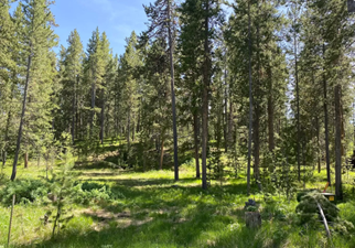 17845 Old Ranch Rd, Moran, WY, USA Lands/Lots for sale in Moran,WY
