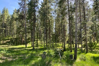 Single Family Homes for sale in Moose,WY