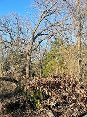 Kingwood Drive, Trinidad, TX, USA Lands/Lots for sale in Trinidad,TX