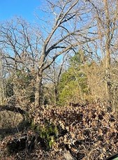 Kingwood Drive, Trinidad, TX, USA Lands/Lots for sale in Trinidad,TX