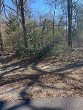 Channelview Drive, Trinidad, TX, USA Lands/Lots for sale in Trinidad,TX